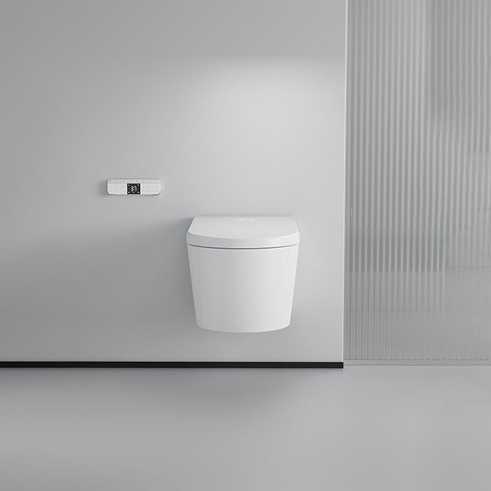 Фото Унитаз-биде подвесной NEMO Унитазы 977-2/WHITE, с сиденьем с микролифтом, белый глянцевый