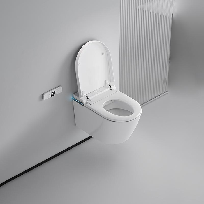 Фото Унитаз-биде подвесной NEMO Унитазы 977-2/WHITE, с сиденьем с микролифтом, белый глянцевый