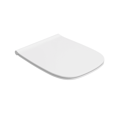 Фото Крышка-сиденье Globo Genesis GN020.BI с микролифтом белый/хром