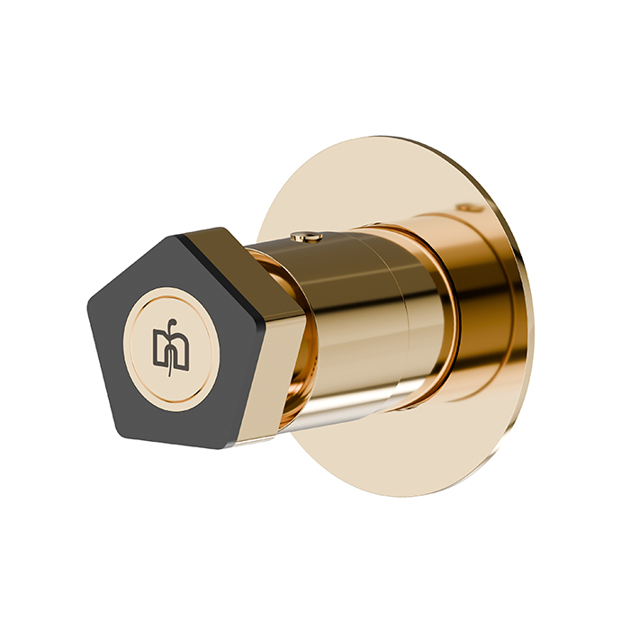 Фото Запорный вентиль Newform ParkLE 69806E.62.093 для душа, золото глянец PVD / черный матовый