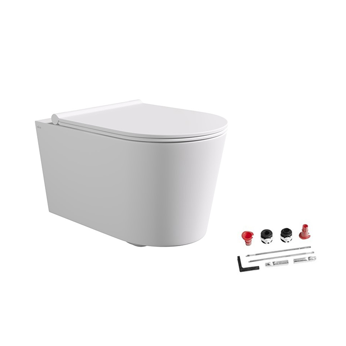 Фото Унитаз подвесной Alice Form 22300109SET, безободковый, с сиденьем с микролифтом, белый матовый