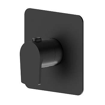 Фото Смеситель Newform Haka 67691E.01.093 для душа термостат, черный матовый