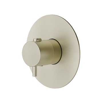 Фото Смеситель Newform X-Steel 316 67670EX.59.098 для душа термостат без запорного вентиля, шампань браш PVD