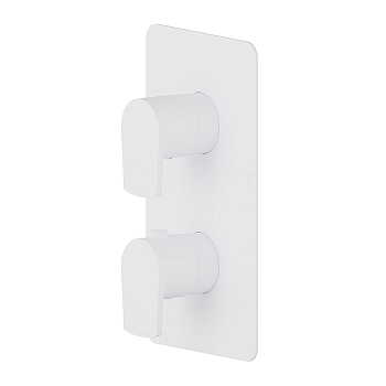 Фото Смеситель Newform Haka 67692E.01.014 для душа термостат с переключателем на 2 потока, белый матовый