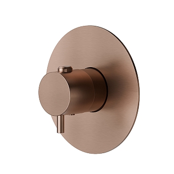 Фото Смеситель Newform X-Steel 316 67670EX.59.067 для душа термостат, медь браш PVD