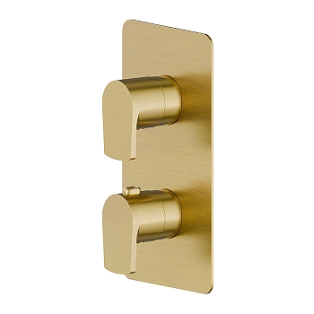 Фото Смеситель Newform Haka 67692E.59.097 для душа термостат с переключателем на 2 потока, золото браш PVD