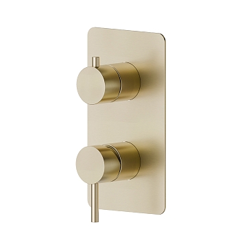 Фото Смеситель Newform X-Steel 316 69673EX.59.098 для душа с переключателем на 2 потока, шампань браш PVD