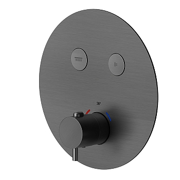 Фото Смеситель Newform X-Steel 316 70426EX.59.064 для душа термостат с кнопками на 2 потока, оружейная сталь браш PVD