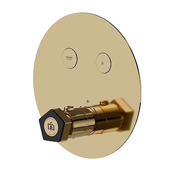 Фото Смеситель Newform ParkLE 70439E.62.093 для душа термостат с переключателем на 2 потока, золото глянец PVD / черный матовый