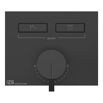 Фото Смеситель для душа Gessi Hi-Fi 63079#299, черный матовый