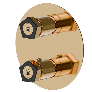 Фото Смеситель Newform ParkLE 69808E.62.093 для душа термостат, золото глянец PVD / черный матовый