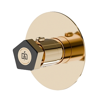 Фото Смеситель Newform ParkLE 69807E.62.093 для душа термостат, золото глянец PVD / черный матовый