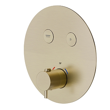 Фото Смеситель Newform X-Steel 316 70426EX.59.098 для душа термостат с кнопками на 2 потока, шампань браш PVD