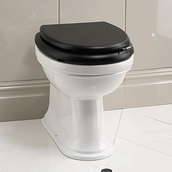 Фото Унитаз напольный Devon&Devon Rose IBWCROSEBTW