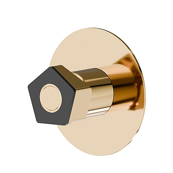 Фото Смеситель Newform ParkLE 69775E.62.093 для душа, золото глянец PVD / черный матовый