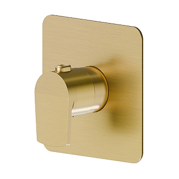 Фото Смеситель Newform Haka 67691E.59.097 для душа термостат, золото браш PVD