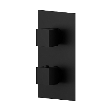 Фото Смеситель Newform Ergo Q 67648E.01.093 для душа термостат с переключателем на 2 потока, черный матовый